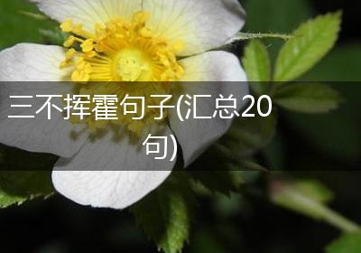 三不挥霍句子(汇总20句)