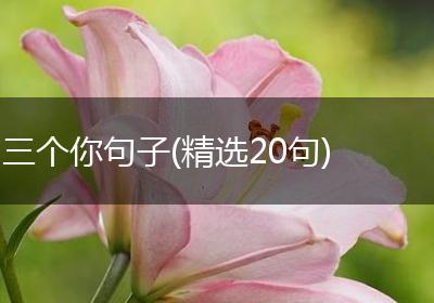 三个你句子(精选20句)