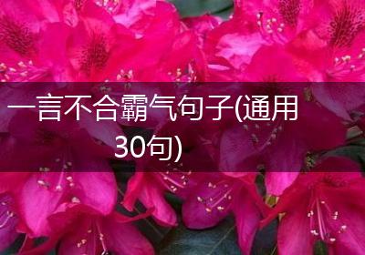 一言不合霸气句子(通用30句)