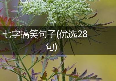 七字搞笑句子(优选28句)