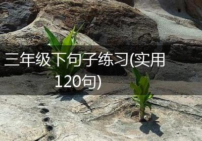 三年级下句子练习(实用120句)