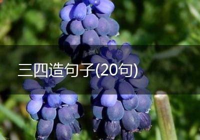三四造句子(20句)