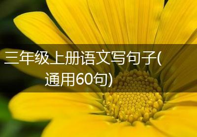 三年级上册语文写句子(通用60句)