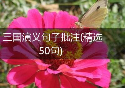 三国演义句子批注(精选50句)