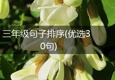 三年级句子排序(优选30句)