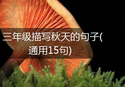 三年级描写秋天的句子(通用15句)