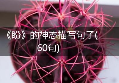 《盼》的神态描写句子(60句)