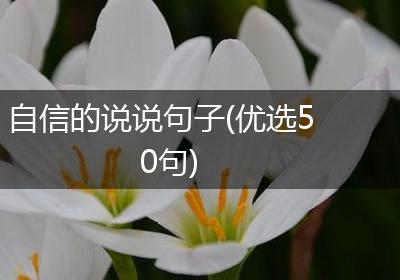 自信的说说句子(优选50句)