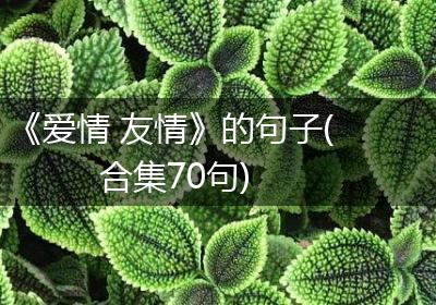 《爱情 友情》的句子(合集70句)