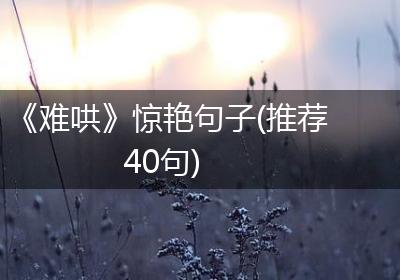 《难哄》惊艳句子(推荐40句)