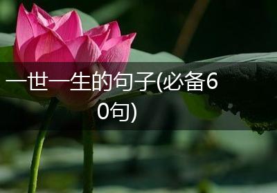 一世一生的句子(必备60句)