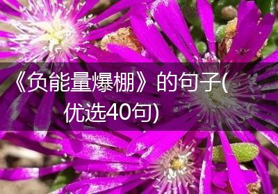 《负能量爆棚》的句子(优选40句)
