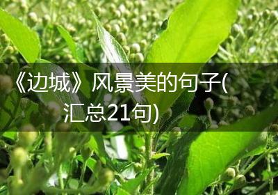 《边城》风景美的句子(汇总21句)