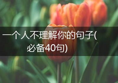 一个人不理解你的句子(必备40句)