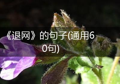 《退网》的句子(通用60句)