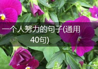 一个人努力的句子(通用40句)
