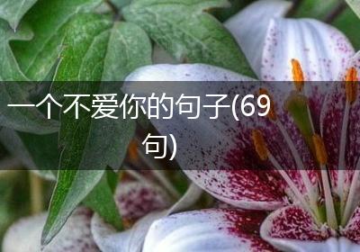 一个不爱你的句子(69句)