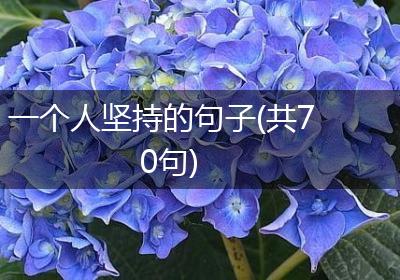 一个人坚持的句子(共70句)
