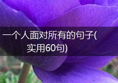 一个人面对所有的句子(实用60句)