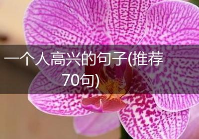 一个人高兴的句子(推荐70句)