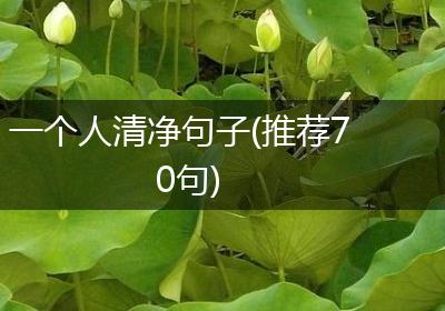 一个人清净句子(推荐70句)