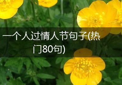 一个人过情人节句子(热门80句)
