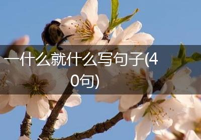 一什么就什么写句子(40句)