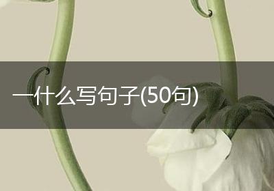 一什么写句子(50句)
