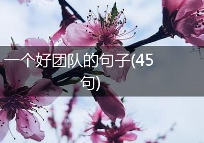 一个好团队的句子(45句)