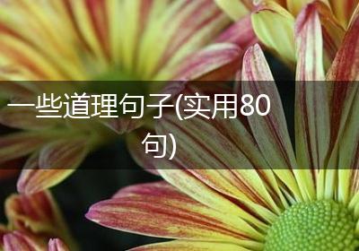 一些道理句子(实用80句)