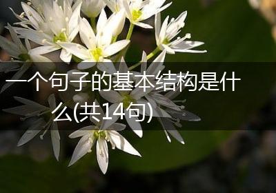 一个句子的基本结构是什么(共14句)