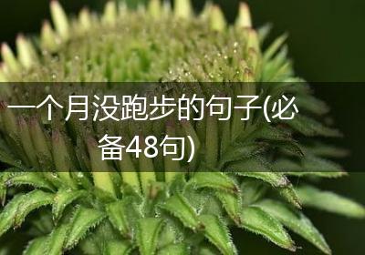 一个月没跑步的句子(必备48句)