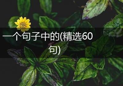 一个句子中的(精选60句)