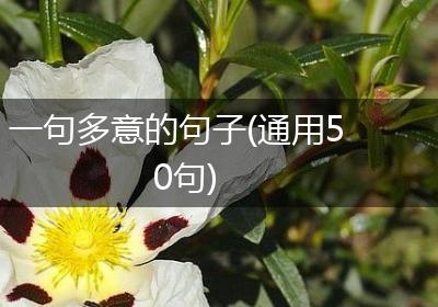 一句多意的句子(通用50句)