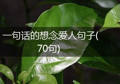 一句话的想念爱人句子(70句)