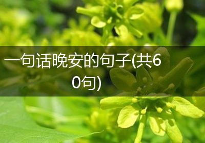一句话晚安的句子(共60句)