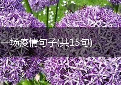 一场疫情句子(共15句)