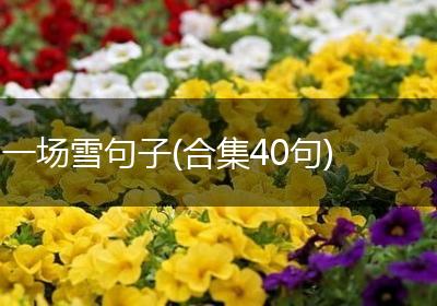一场雪句子(合集40句)