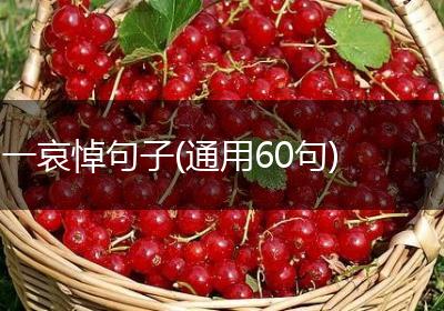 一哀悼句子(通用60句)