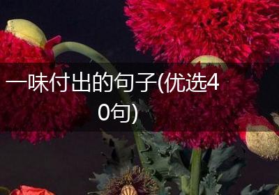 一味付出的句子(优选40句)