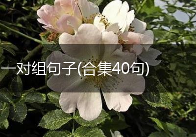 一对组句子(合集40句)
