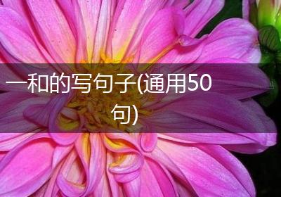 一和的写句子(通用50句)