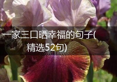 一家三口晒幸福的句子(精选52句)