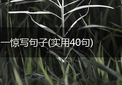一惊写句子(实用40句)