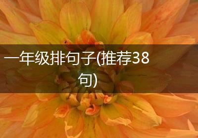 一年级排句子(推荐38句)
