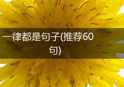 一律都是句子(推荐60句)