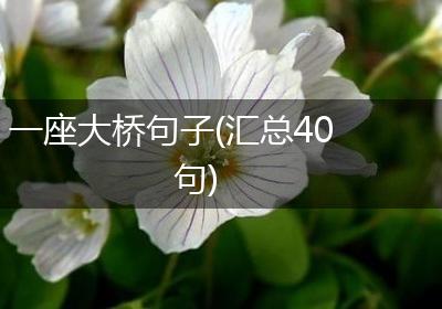 一座大桥句子(汇总40句)