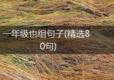 一年级也组句子(精选80句)