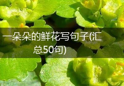 一朵朵的鲜花写句子(汇总50句)