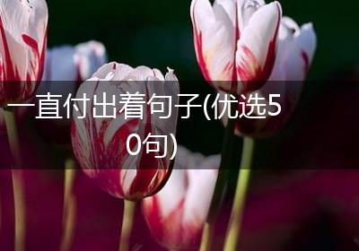 一直付出着句子(优选50句)